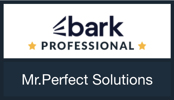 Bark Professional Certified Security systems Company Bark Professional Security systems in Chennai